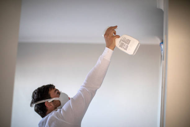 Best Professional Mold Removal  in Maggie Valley, NC